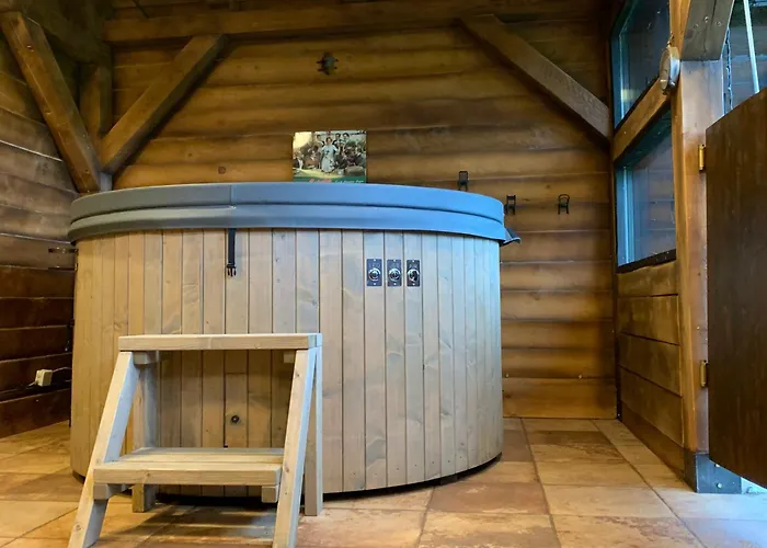 Avalanche Plaiul Foii