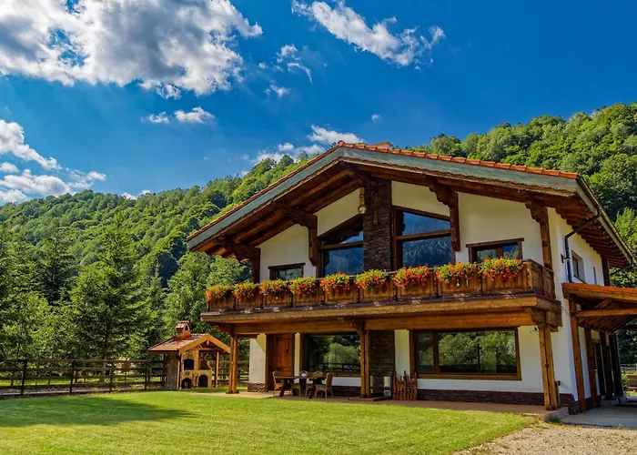 Avalanche Plaiul Foii